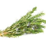 Huile essentielle de Romarin Bio